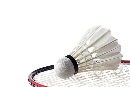 股权结构才 股权结构才