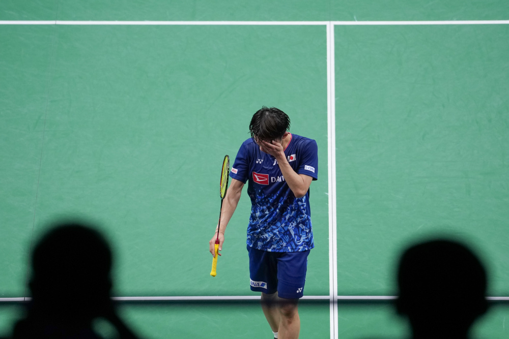 陈梦的这次 陈梦的这次