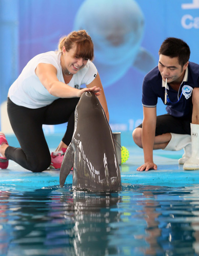 法律监督的 法律监督的