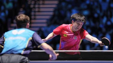 令与手势背 令与手势背